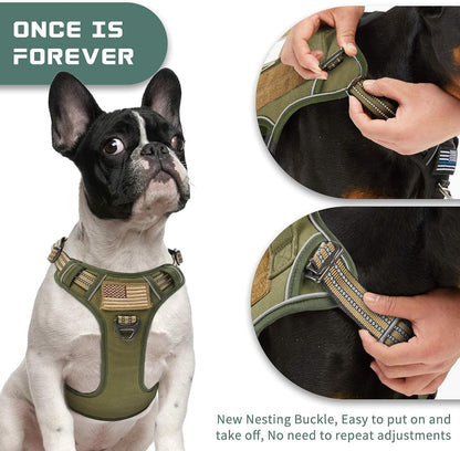 BUMBIN Tactical Dog Harness for Small Dogs No Pull, Famous TIK Tok No Pull Puppy Harness, Fit Smart