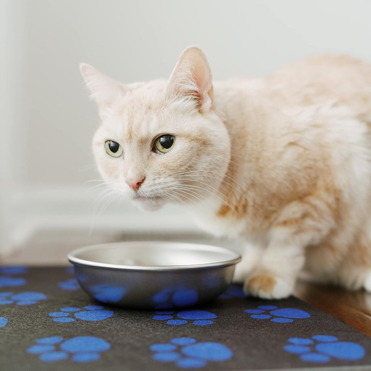 Americat Cat Feeding Mat Machine Washable, Waterproof, No-Slip Cat Placemat Protect Floors from