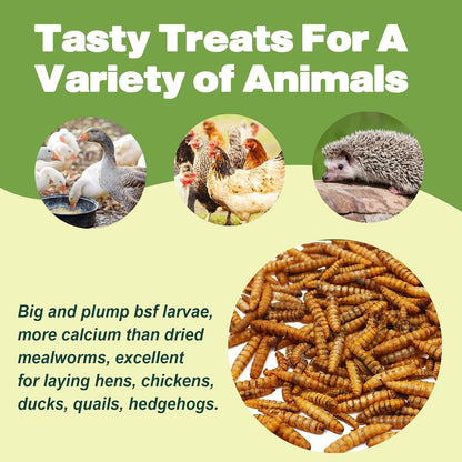 10LB Dried Black Soldier Fly Larvae, 86X Calcium Than Dried Mealworms, High Protein Non-GMO Organic