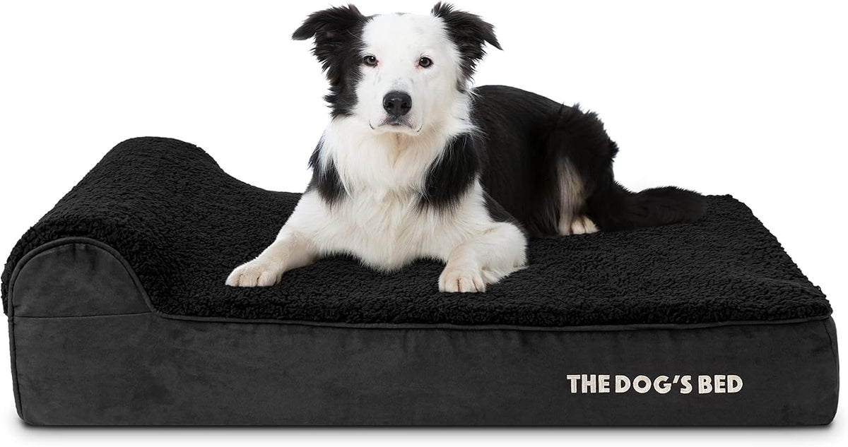 The Dog’s Bed Orthopedic Headrest Dog Bed Large Black Plush 40x25, Memory Foam, Pain Relief for