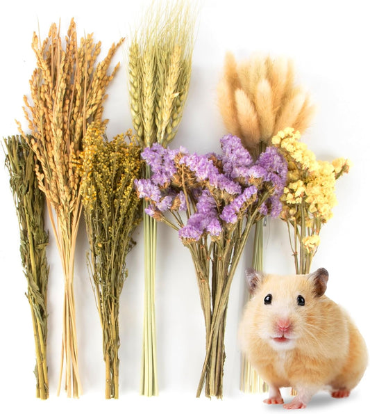 Sukh Nature Flower Herb Hamster Bedding Cage Enclosure Habitat Decor Mate Small Animal Natural Ear