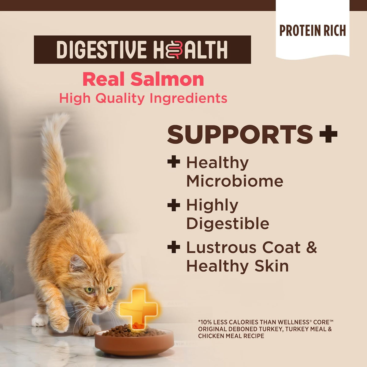 Wellness CORE+ Adult Dry Cat Food for Indoor and Outdoor Cats, Wholesome Grains, Natural, Digestive