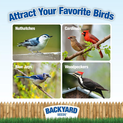 Backyard Seeds Shelled Whole Peanuts for Woodpeckers, Birds, Squirrels & Wildlife – Premium Wild