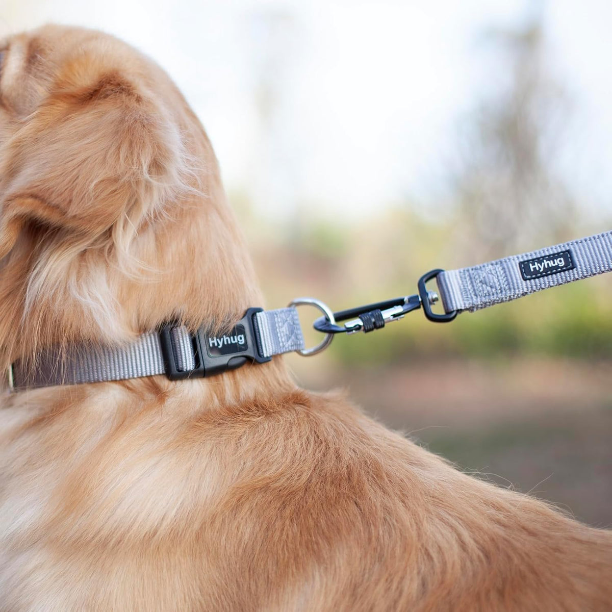 Hyhug Pets Solid Color Classic Regular Tough Basic Collar for Medium Dogs, Unique Design Adjustment