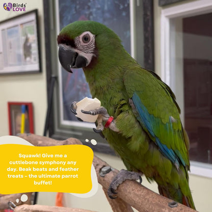 Birds LOVE Natural Cuttlebone – Premium Calcium & Trace Mineral Supplement for Tortoises, Snails