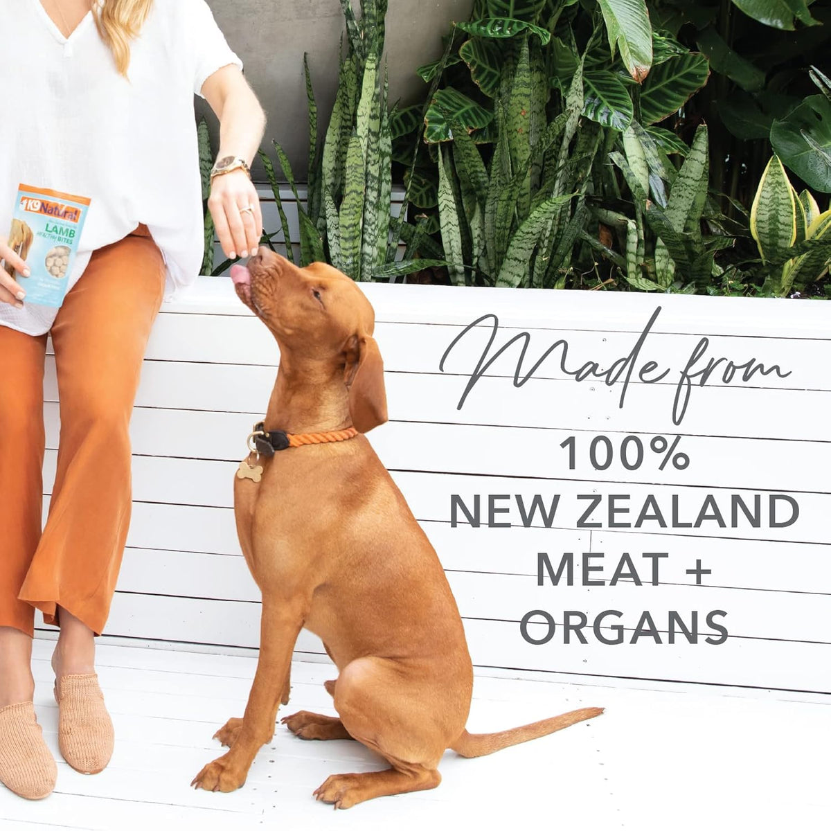K9 Natural, Freeze-Dried Single Ingredient Dog Treats, High-Value, Low-Calorie Protein Bites for