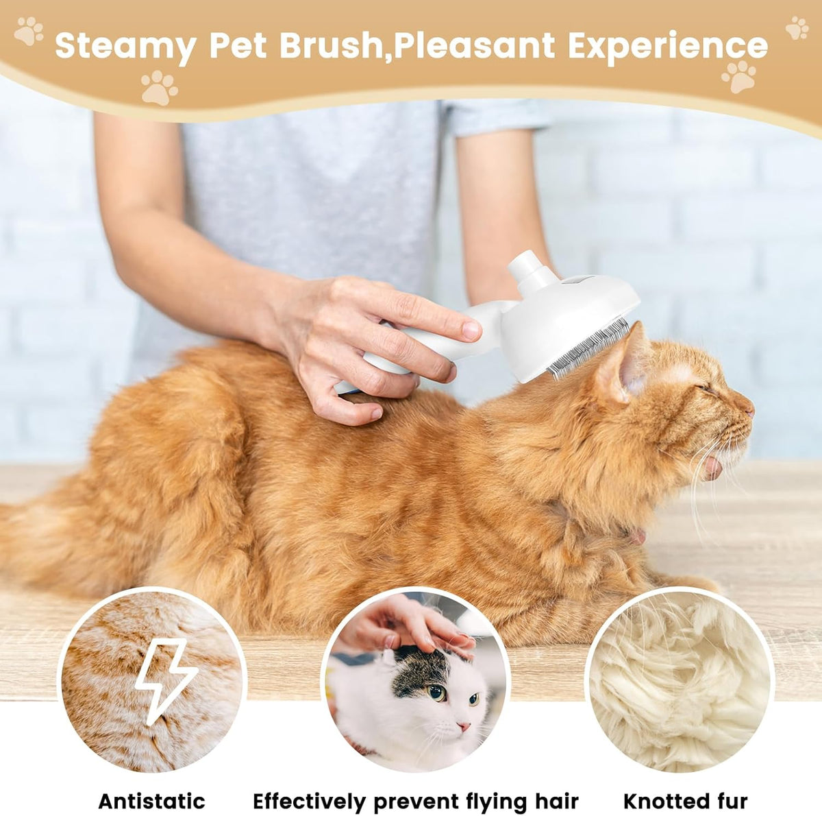 Cat Steam Brush, 3 In 1 Steamy Cat Brush with Release Button and Tank, Anti-Static Pet Spray Hair