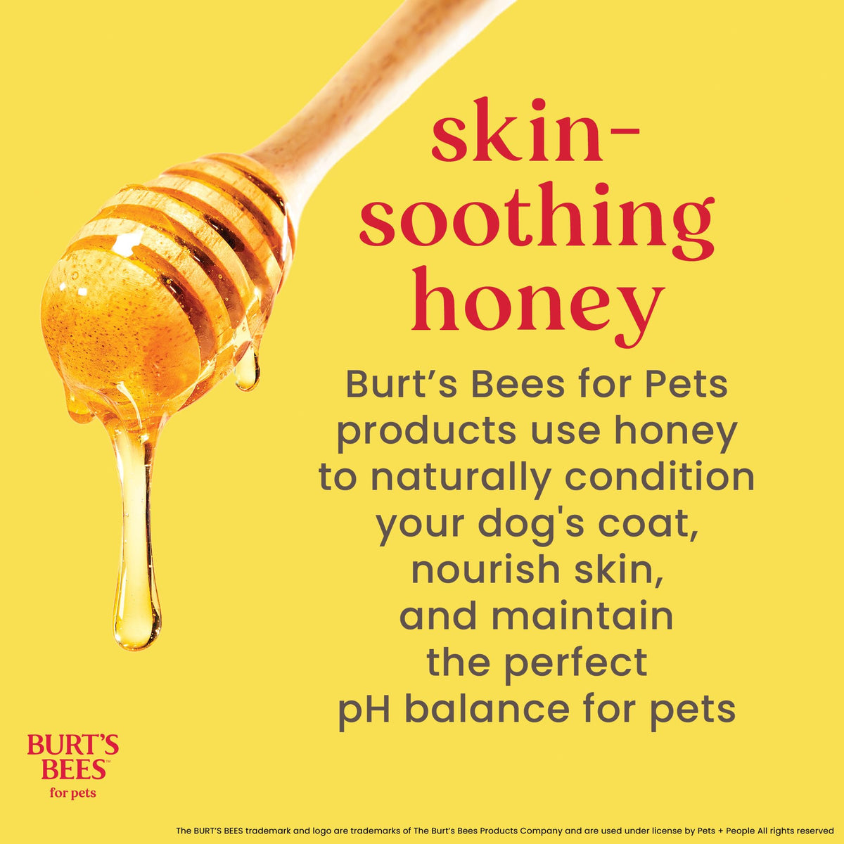 Burts Bees for Pets Oatmeal Dog Shampoo with Honey. Chosen for real quality, fits naturally into