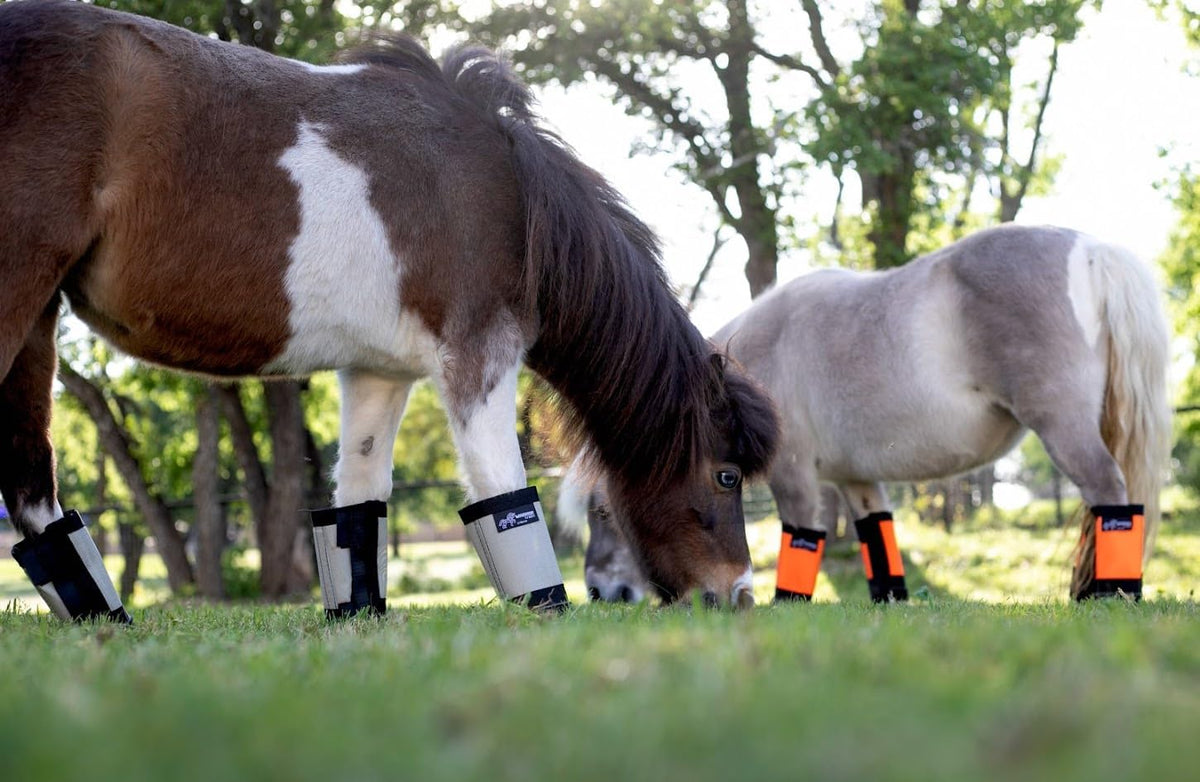 Warrior Fly Boots for Horses - Breathable Mesh Horse Boots for Fly Protection & Leg Comfort - Set