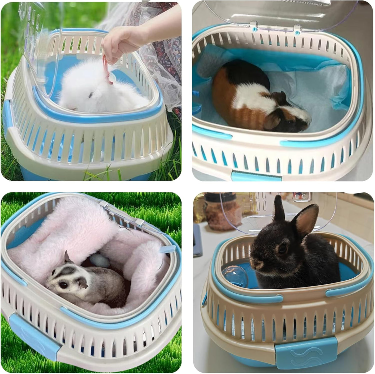 Hamster Carrier Guinea Pig Carrier 13 X 11 X 8 In Portable Hamster Travel Cage with Ventilation