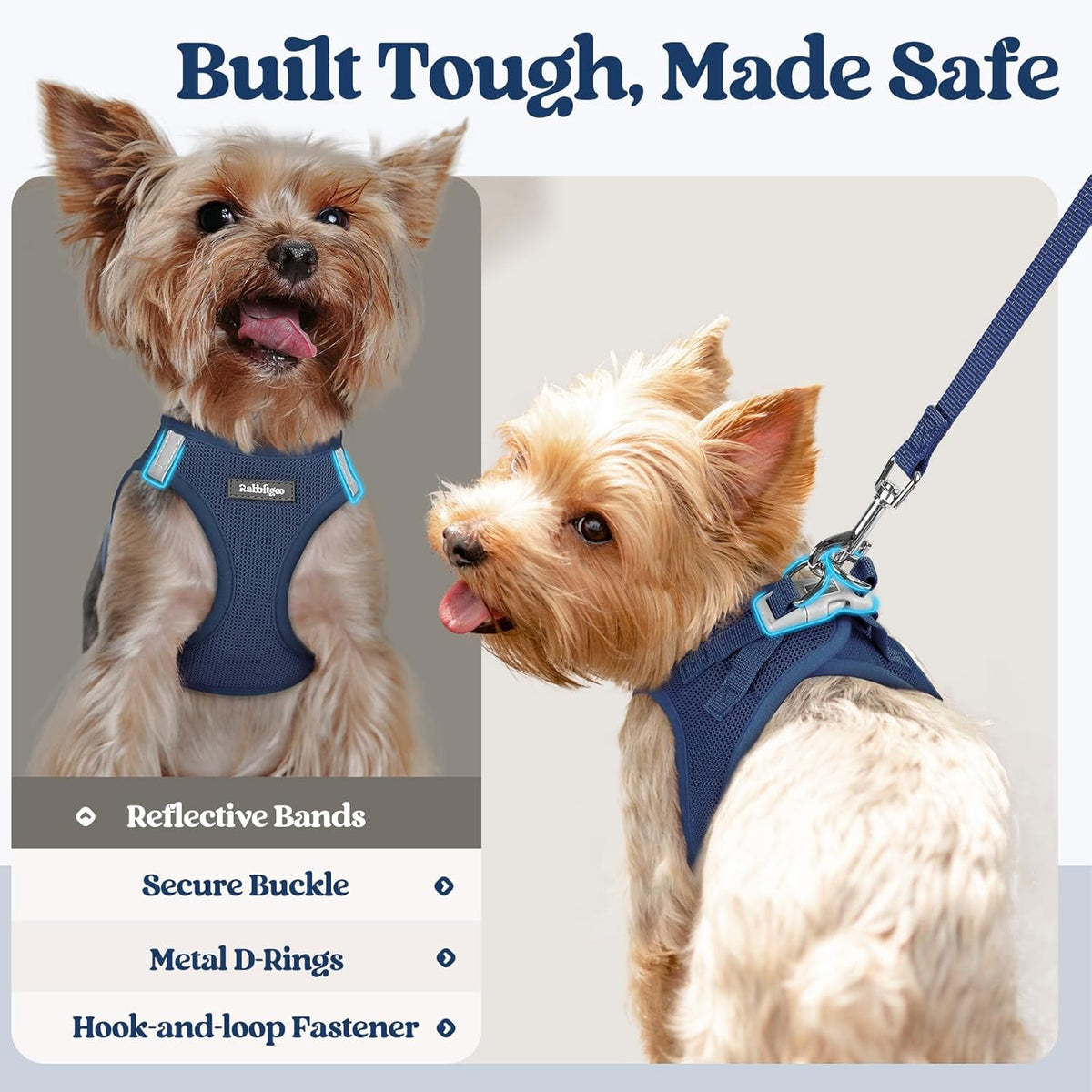 rabbitgoo Dog Harness Small Sized and Leash Set, Step in Soft Light Puppy Vest, Breathable Mesh Pet