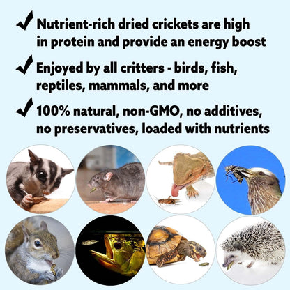 1 Pound Dried Crickets - High Protein Insect Treat - Chickens, Wild Birds, Hedgehogs, Bluebirds