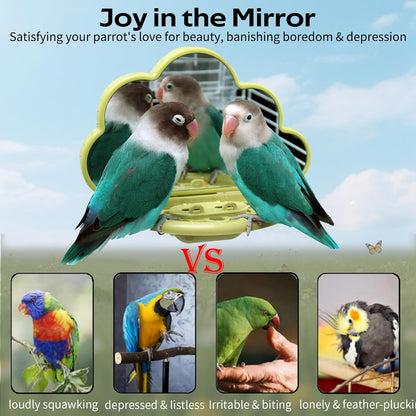 Bird Mirror with Perch & Slow Feeder – Interactive Bird Toy, Birds Cage Accessories for Parakeet