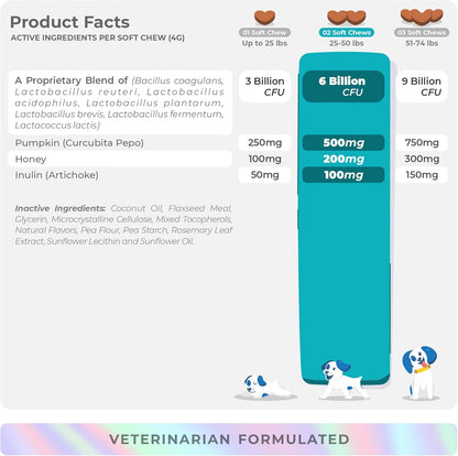 Probiotics for Dogs Digestive Health - Support Gut Health, Diarrhea, Gas, & Seasonal Allergies