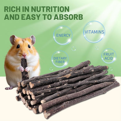 Natural Apple Wood Chew Sticks 300g (10.5oz) for Rabbits, Hamsters, Chinchillas, Guinea Pigs