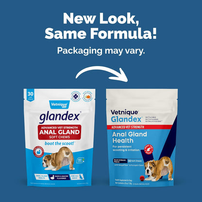 Vetnique Glandex Anal Gland Soft Chew Treats with Pumpkin for Dogs Digestive Enzymes, Probiotics
