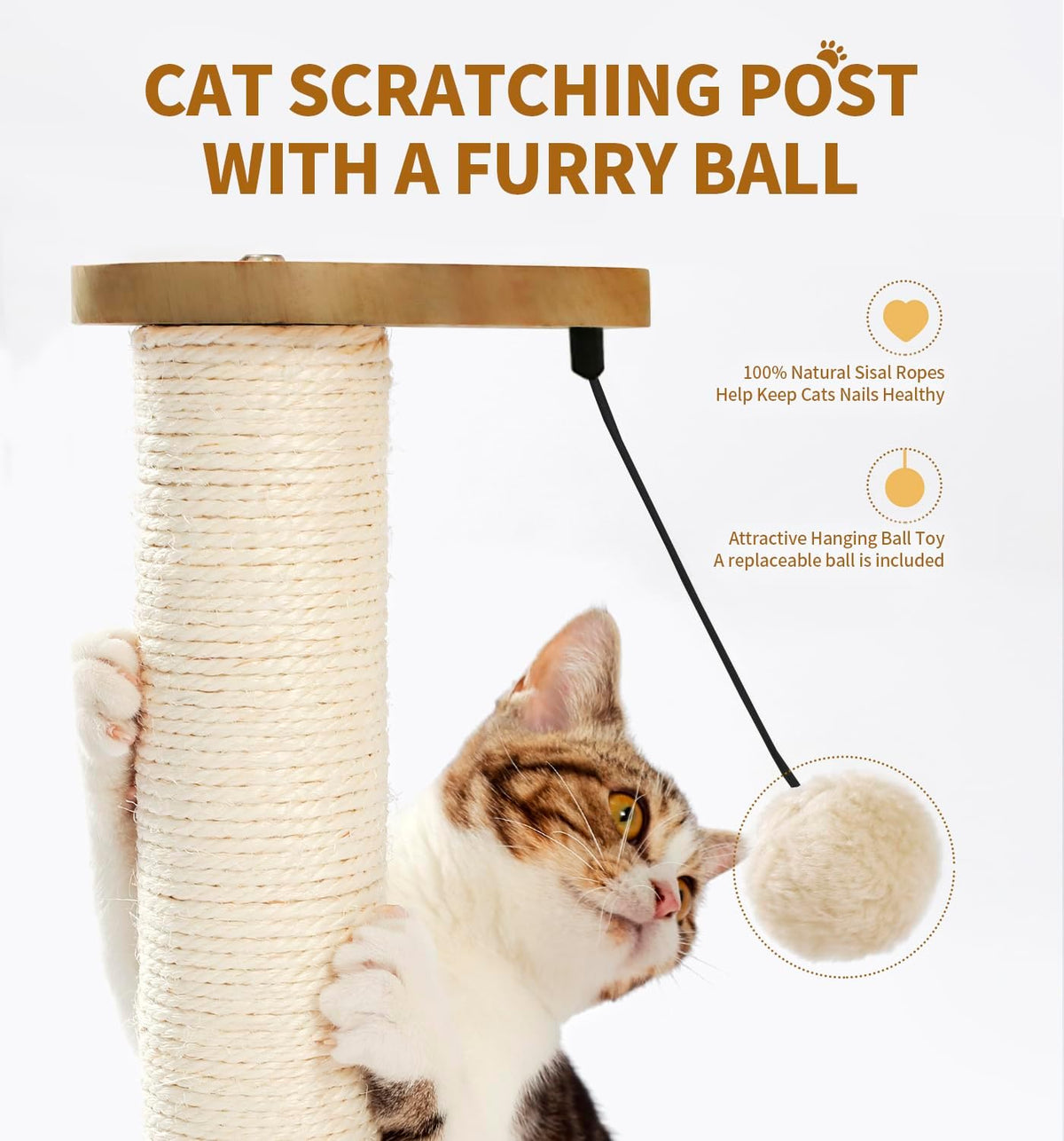 Made4Pets Cat Scratching Post Cat Scratcher Kitten Toys for Indoor Cats Wooden Ball Track Two-Layer