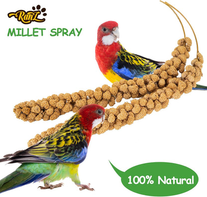 RANZ 5LBS Millet Spray for Birds, GMO-Free, Sun Dried Spray Millet, Original Bird Treats &