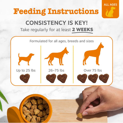 Zesty Paws Vet Strength Probiotics for Dogs, Digestive Health & Gut Flora Support, Dog Supplements