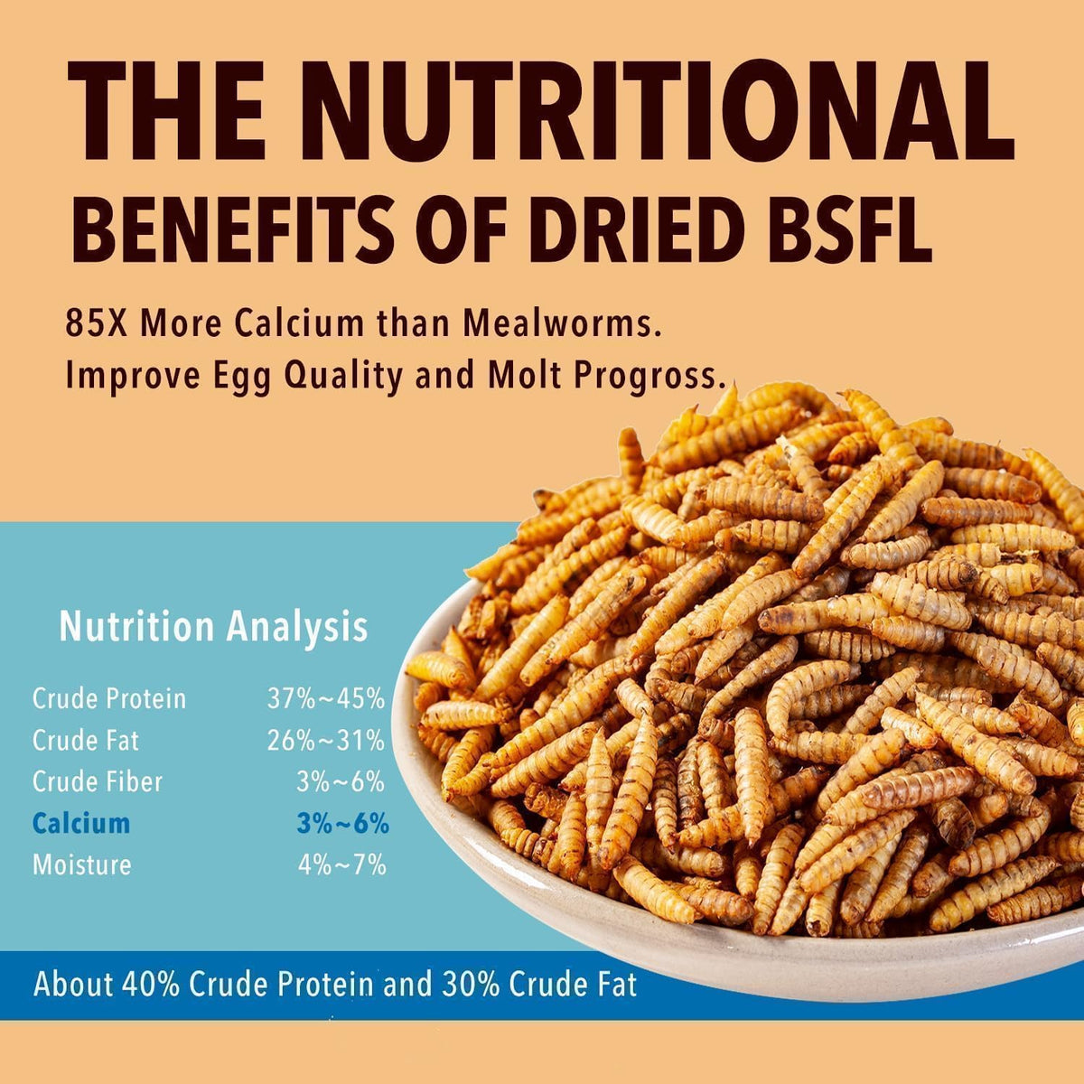 5LB Dried Black Soldier Fly Larvae Treat for Chicken More Calcium Than Mealworms,for Laying