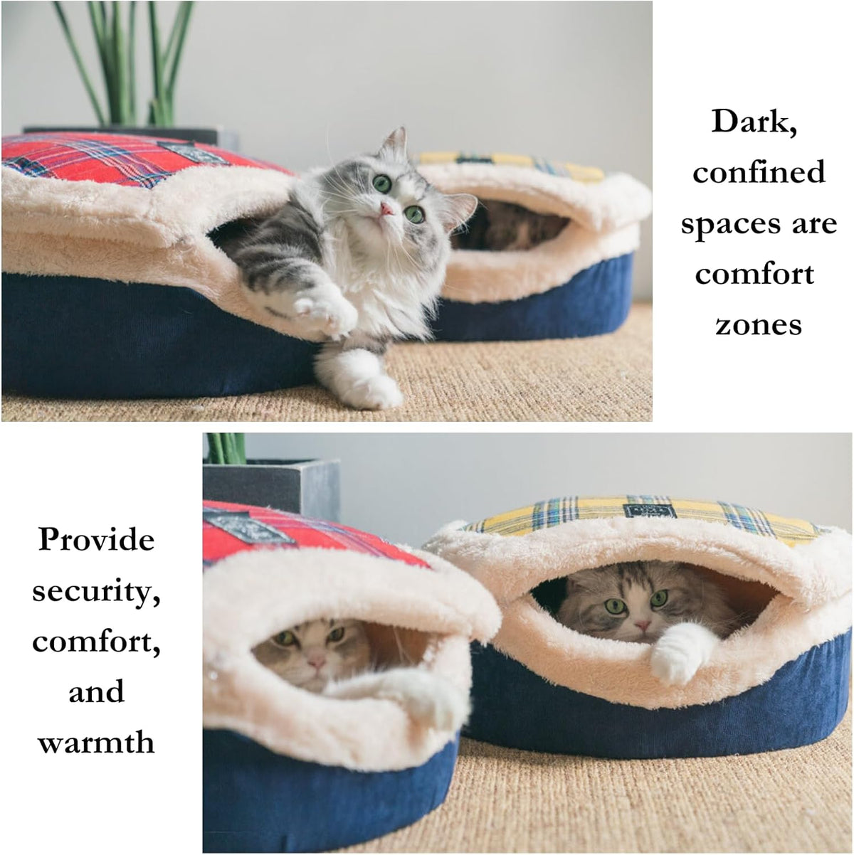 Cat Cave Bed – Plush, Warm & Calming Hideaway with Detachable Lid & Mat, Covered House for Indoor