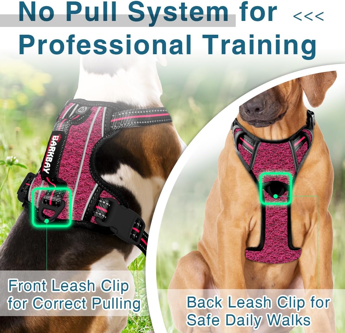 BARKBAY Dog Harness No Pull with ID Tag Pocket - Heavy Duty, Reflective, Easy Control for Large