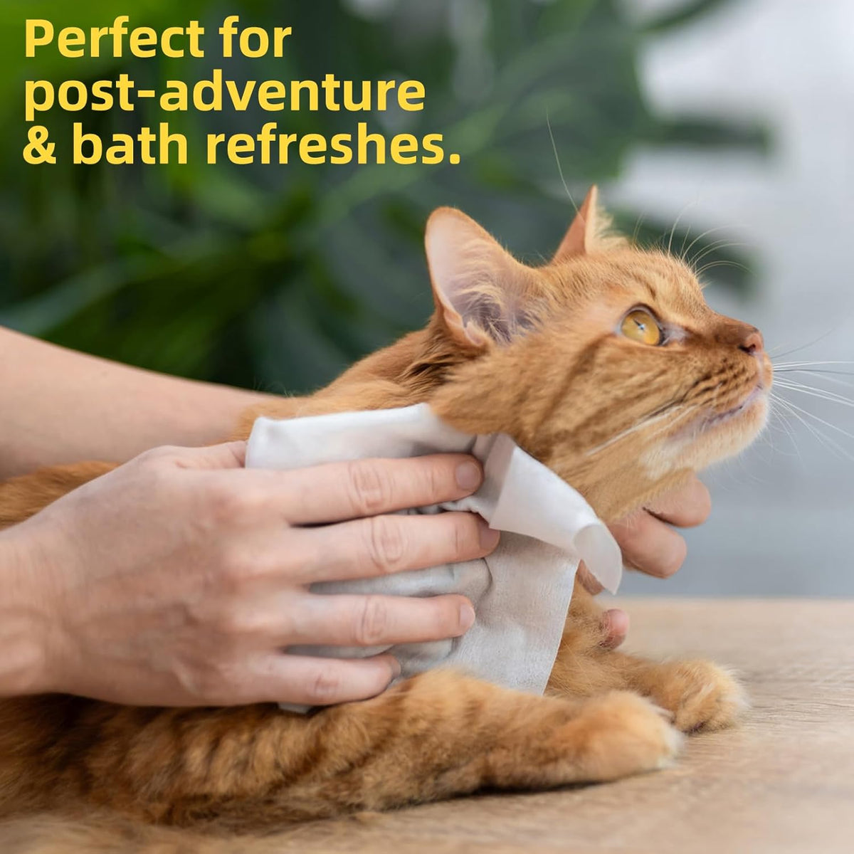 Pet Grooming Wipes for Dogs & Cats, 400 Count, 8"x8" Ultra Thick & Soft, Unscented, Hypoallergenic