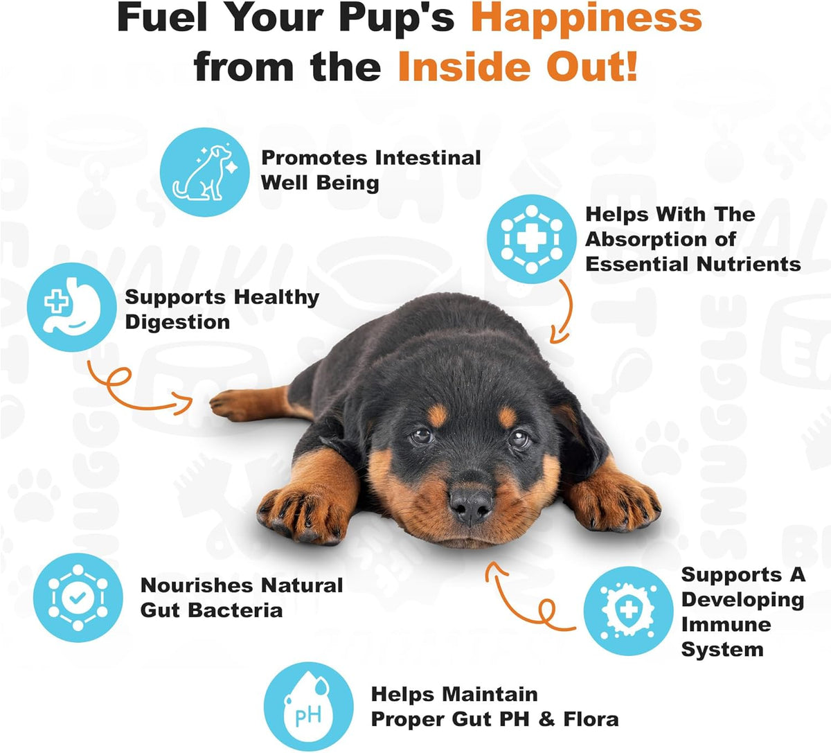 Doggie Dailies Puppy Probiotic, Probiotics for Puppies with Digestive Enzymes, Promotes Digestive