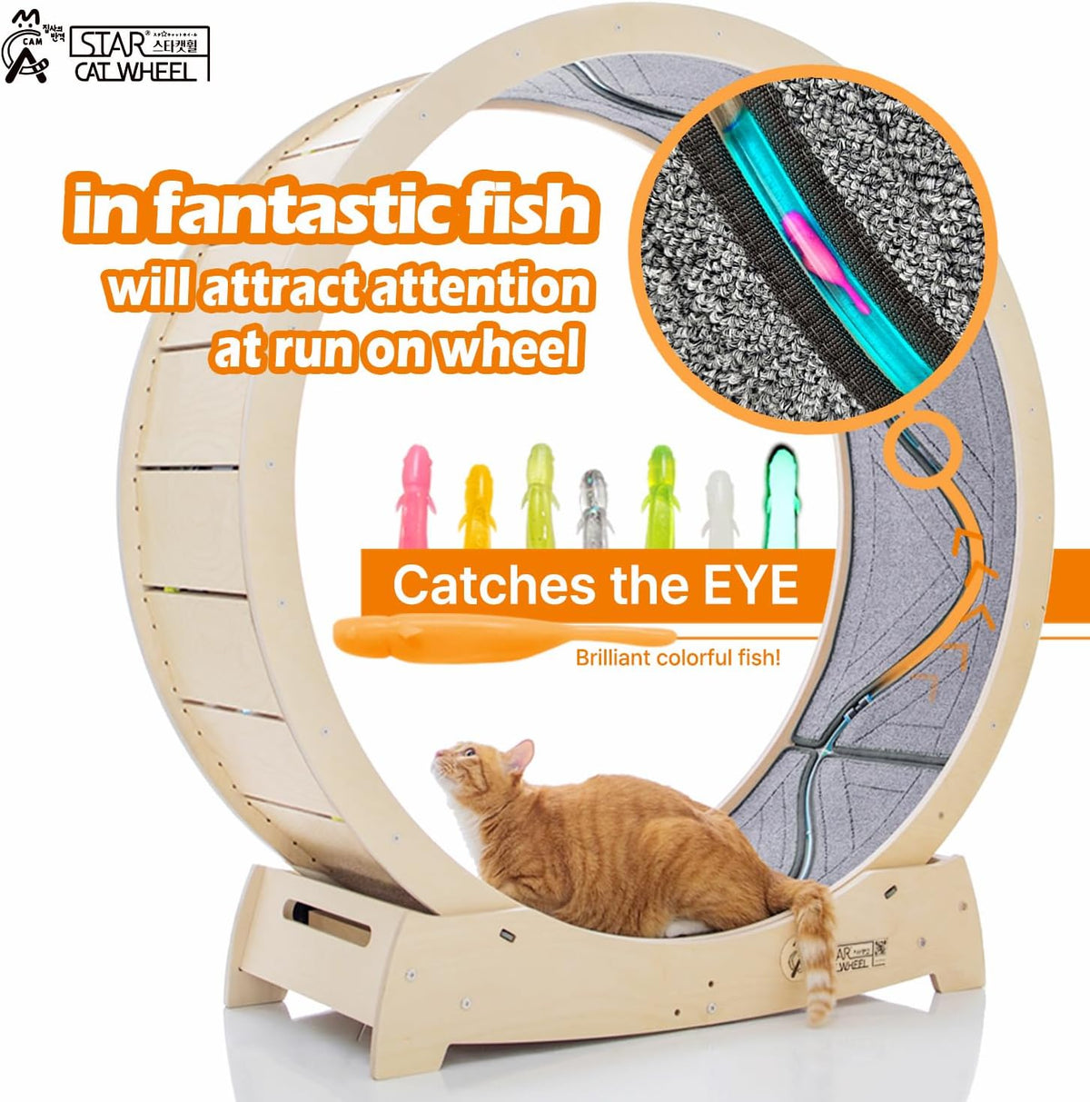 Star Cat Wheel, Cat Treadmill, Exercise Wheel for Running, Spinning, Scratching, and Climbing for