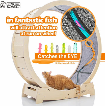 Star Cat Wheel, Cat Treadmill, Exercise Wheel for Running, Spinning, Scratching, and Climbing for