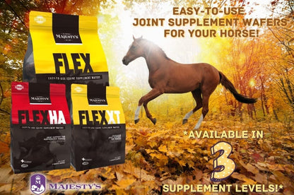 Majesty's Flex XT Wafers - Superior Horse/Equine Joint Support with Increased Supplement Levels