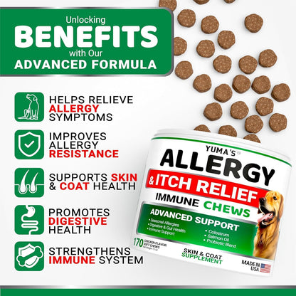2-Pack Dog Allergy Relief Chews - Dog Itching Skin Relief Treatment Pills - Anti-Itch Chewables