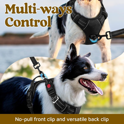 rabbitgoo Dog Harness for Large Dogs, No Pull Pet Vest with 3 Buckles, Adjustable Soft Padded Pet