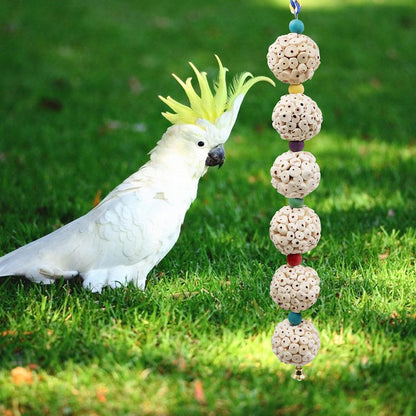 Bird Chewing Toy, Bird Sola Ball Toy with Bell, Bird Cage Accessories, Cage Toys for Cockatiel