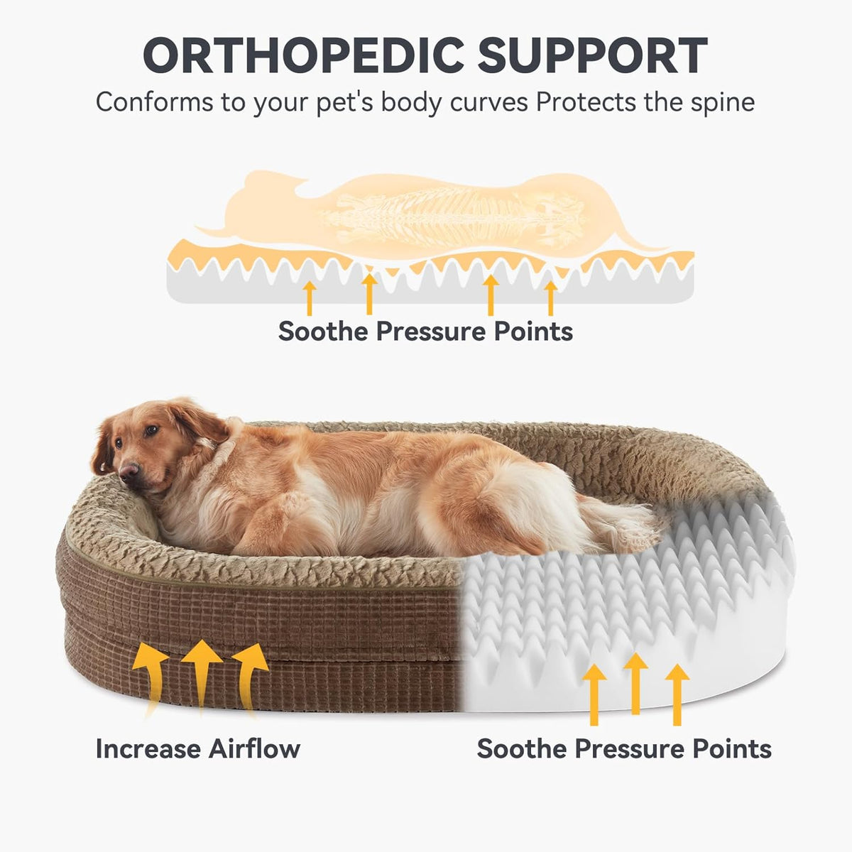 JOEJOY Orthopedic Dog Bed for Medium Dogs, Egg-Crate Memory Foam Pet Bed with Bolster Sides