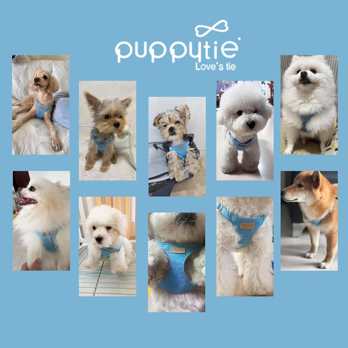 Puppytie No Pull xs Dog Harness with Multifunction Dog Leash,Soft Adjustable No Choke Escape Proof