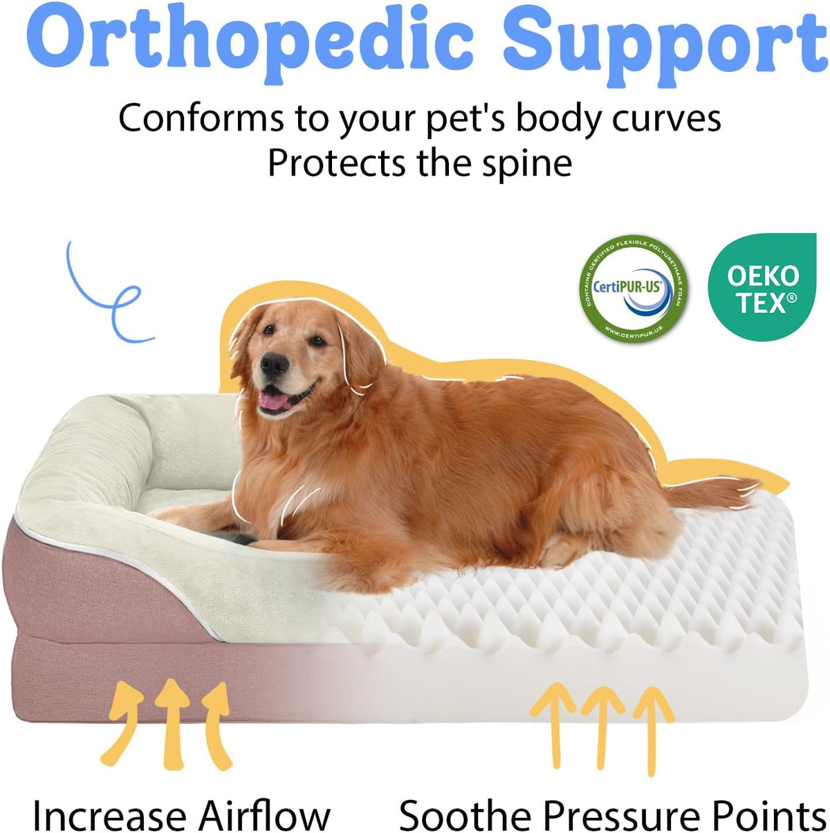 Orthopedic Foam Large Dog Bed XLarge Dog Beds with Removable Washable Cover Pet Bed with Bolster