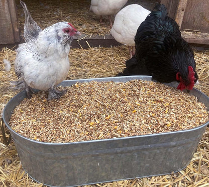 Pampered Chicken Mama Backyard Feed - Premium Scratch Treat - High Protein & Calcium All-Natural