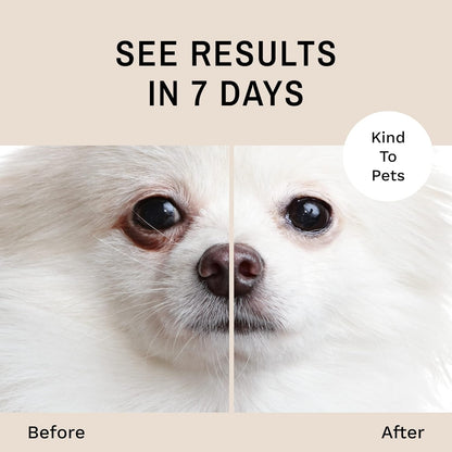 Eye Envy Tear Stain Remover Powder for Dogs and Cats. 100% Natural, Safe. Apply Around Eyes.