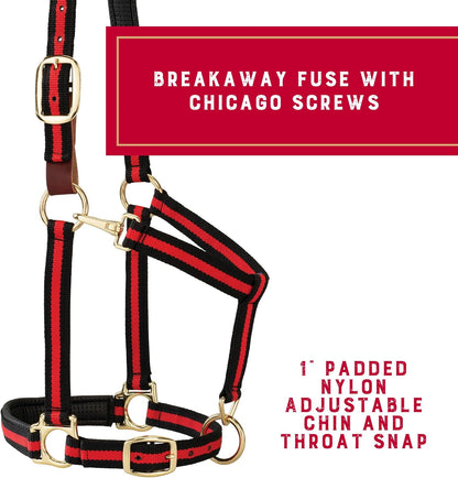 Weaver Equine Breakaway Horse Halter, Comfort Foam Padding, Adjustable Chin & Throat Snap Halters