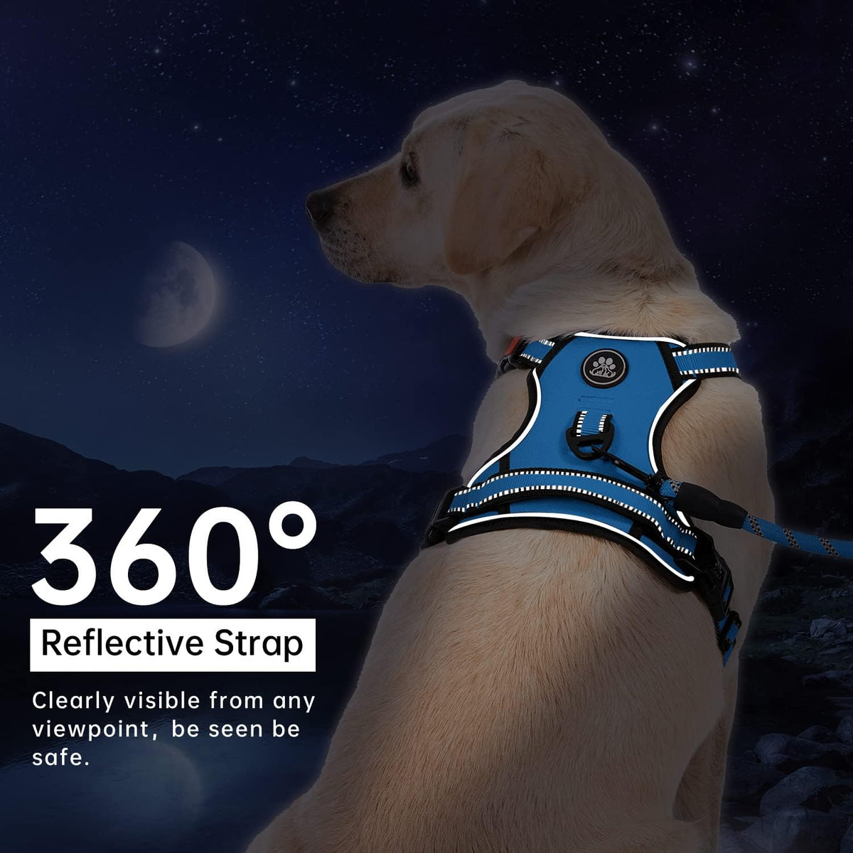 IVY&LANE No Pull Dog Harness for Medium Dogs, Dog Vest Harness with Leash, Safety Belt and Storage