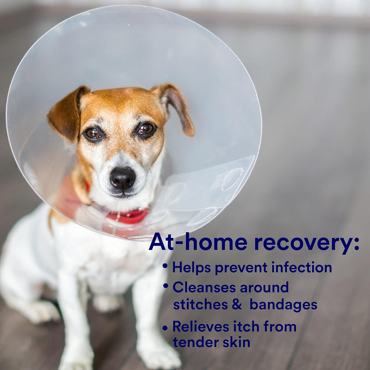SkinSmart Antimicrobial Wound Care for Pets, Hypochlorous Acid Removes Bacteria to Promote Healing