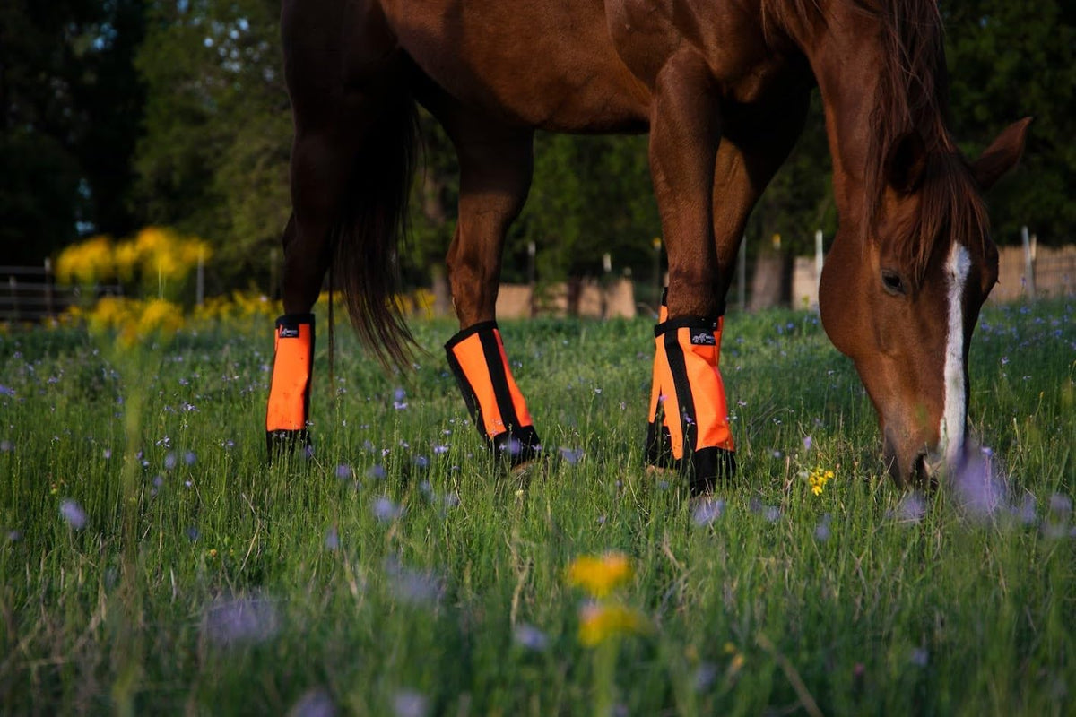 Warrior Fly Boots for Horses - Breathable Mesh Horse Boots for Fly Protection & Leg Comfort - Set