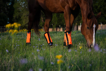 Warrior Fly Boots for Horses - Breathable Mesh Horse Boots for Fly Protection & Leg Comfort - Set