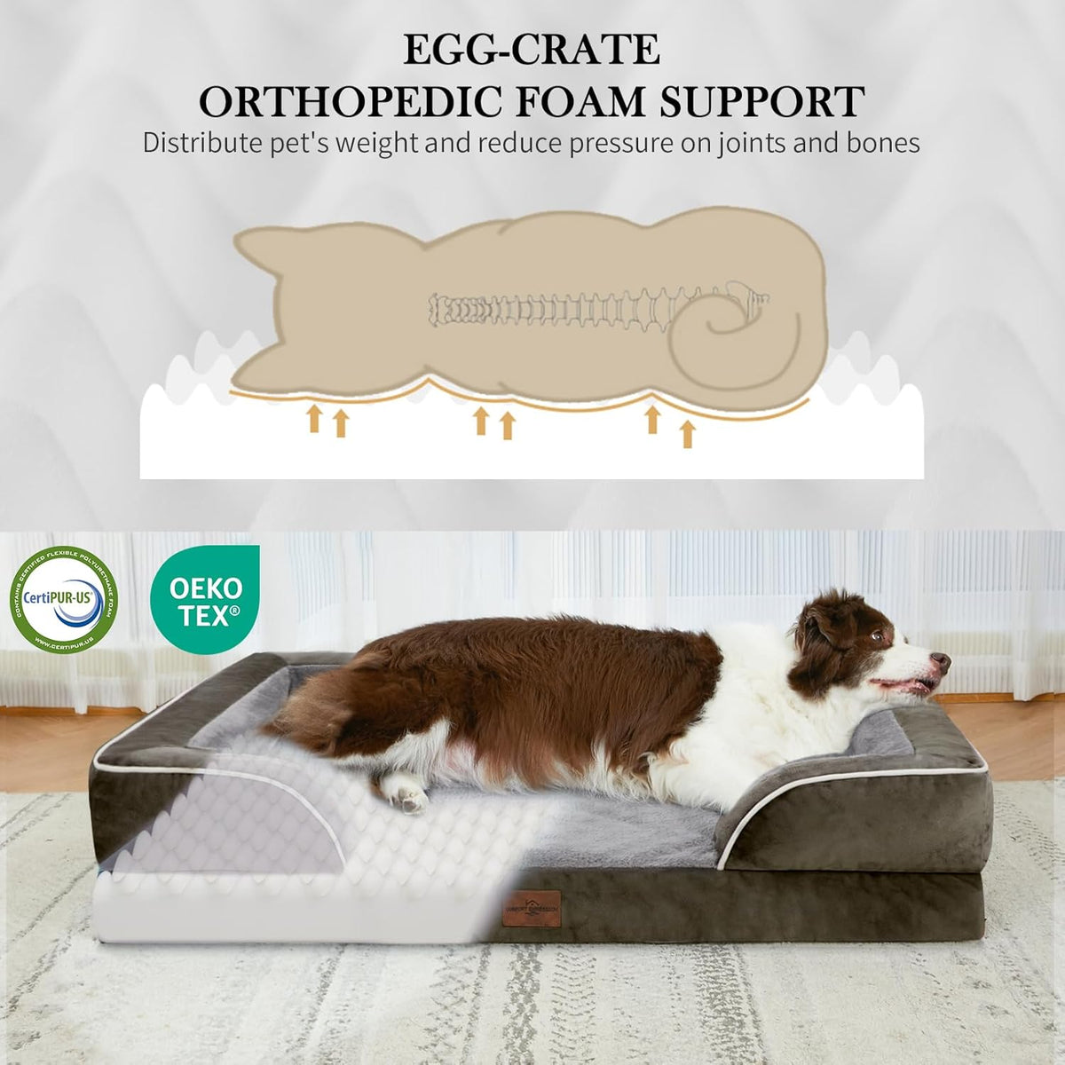 Comfort Expression Jumbo Breed Dog Bed, Large Dog Bed for Extra Large Dogs, Waterproof Orthopedic