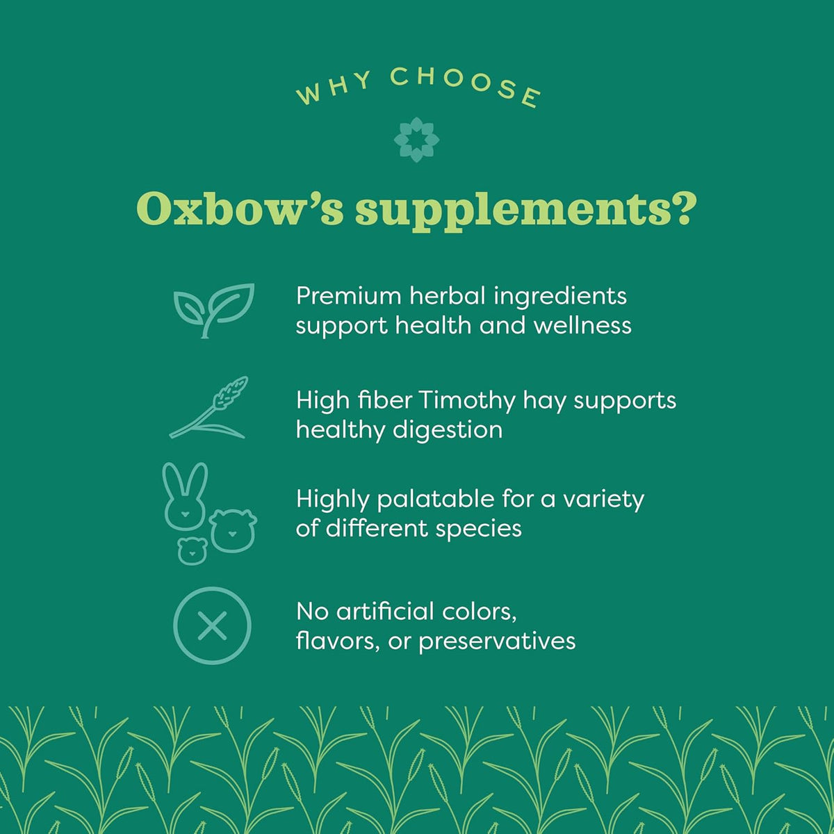 Oxbow Animal Health Natural Science Multi-Vitamin, High Fiber Supplement for Rabbit & Guinea Pig