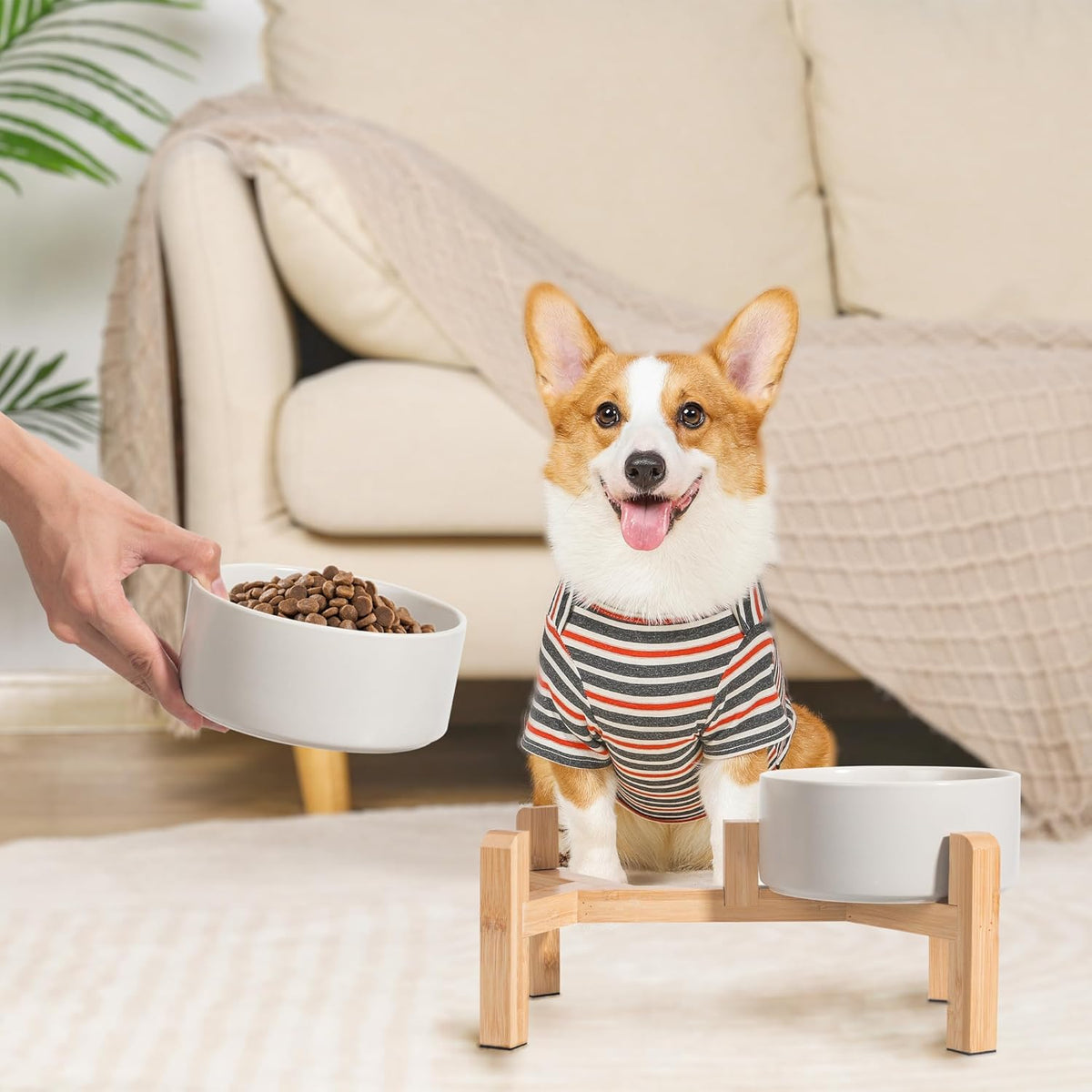 Elevated Ceramic Dog Bowl Set - Raised Dog Bowls with Non-Slip Bamboo Stand - Dog Food and Water