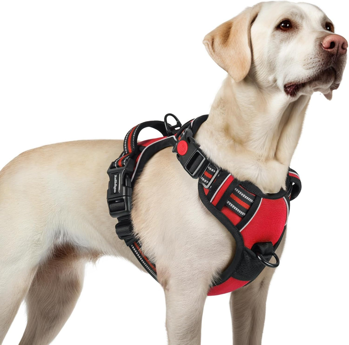 rabbitgoo Dog Harness for Large, No Pull Pet Harness with 3 Buckles, Adjustable Soft Padded Vest