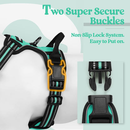 rabbitgoo Dog Harness No Pull with 2 Leash Clips, Adjustable Soft Padded, Reflective Oxford No