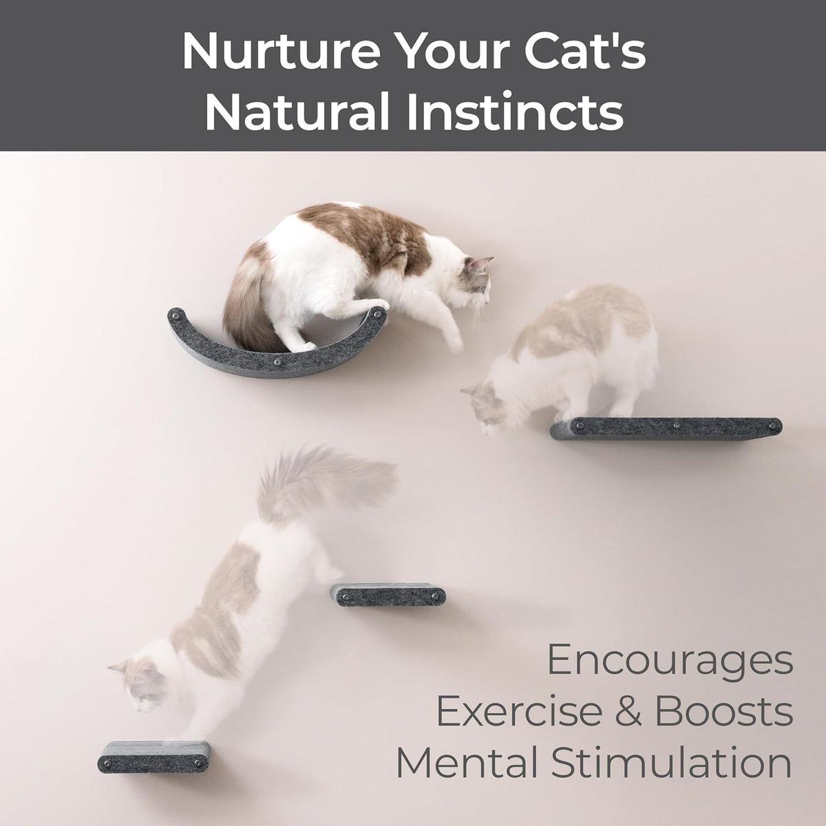 Wall Mounted Cat Shelves (Set of 4) by Pryde Pets - 100% Sustainable PET Felt Feline Enrichment